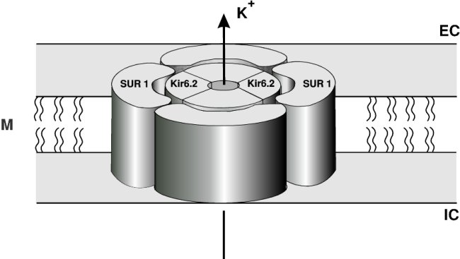 0003000201.jpg (29523 bytes)