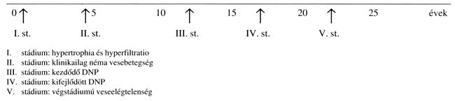 diabeteses nephropathia stádiumai