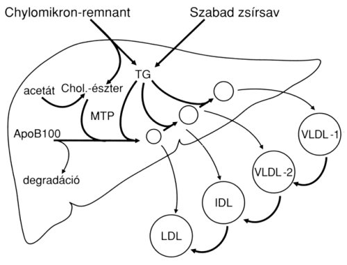 9802000201ger.jpg (29409 bytes)