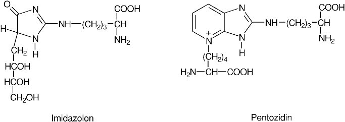 9901000104wit.jpg (21314 bytes)